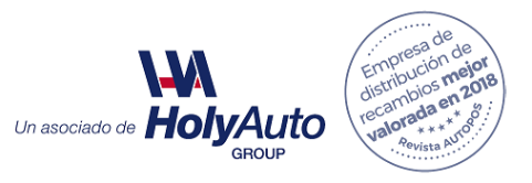 Logo HolyAuto